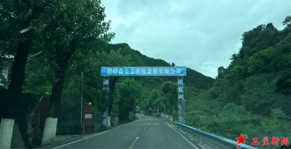 守护“舌尖上的安全”！贵州省桐梓县：再次揭开生猪检疫合格证明背后的“秘密