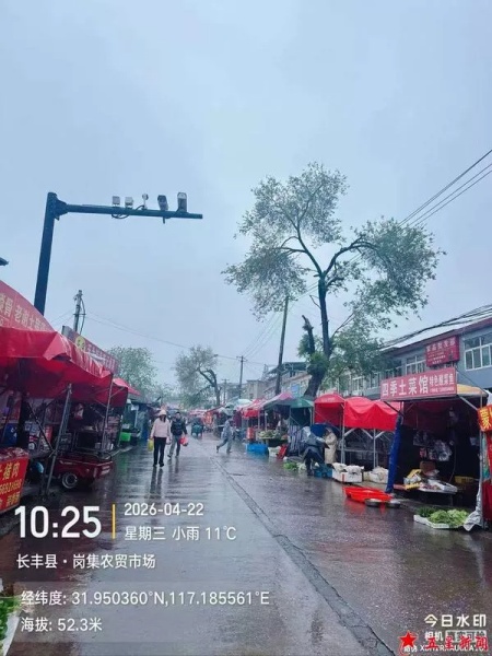 安徽省合肥市长丰县岗集农贸市场：监管严重缺位 几万市民难寻“放心肉”