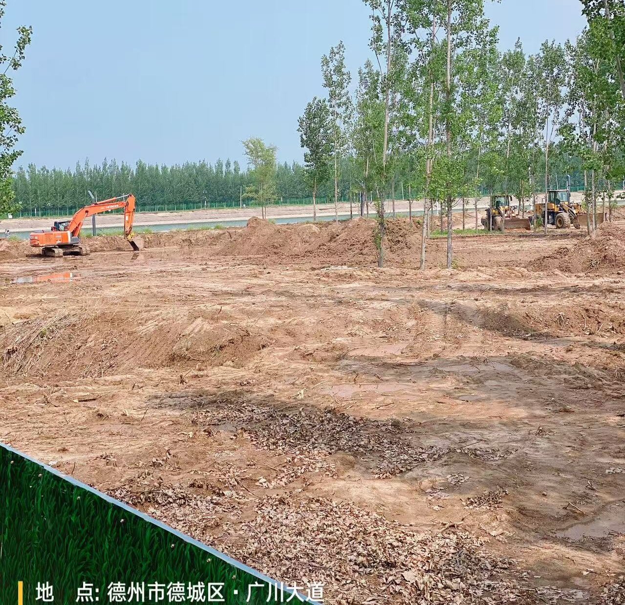 招标还没完，工地先动工？德州一重点民生项目被指“未标先建”